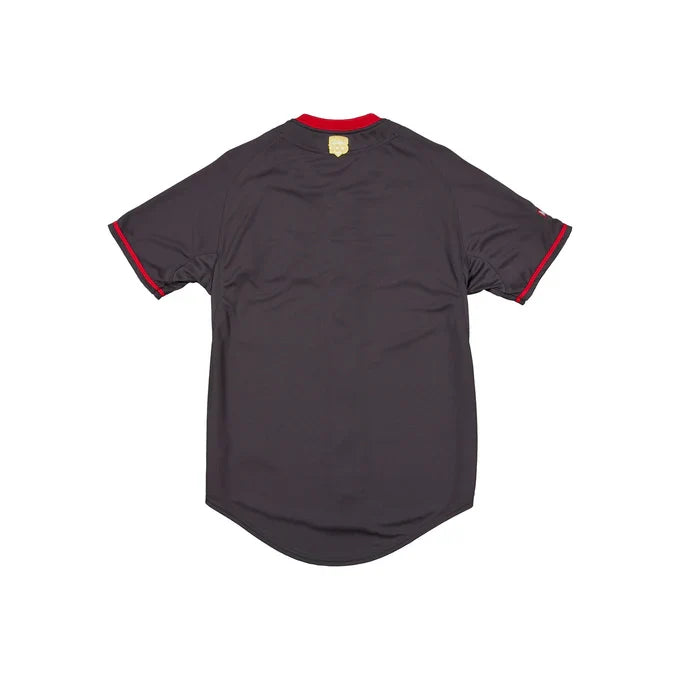 New Era Diablos Rojos del México LMB 100th Anniversary Gray Alt Jersey product image 2, provided for visual reference and
