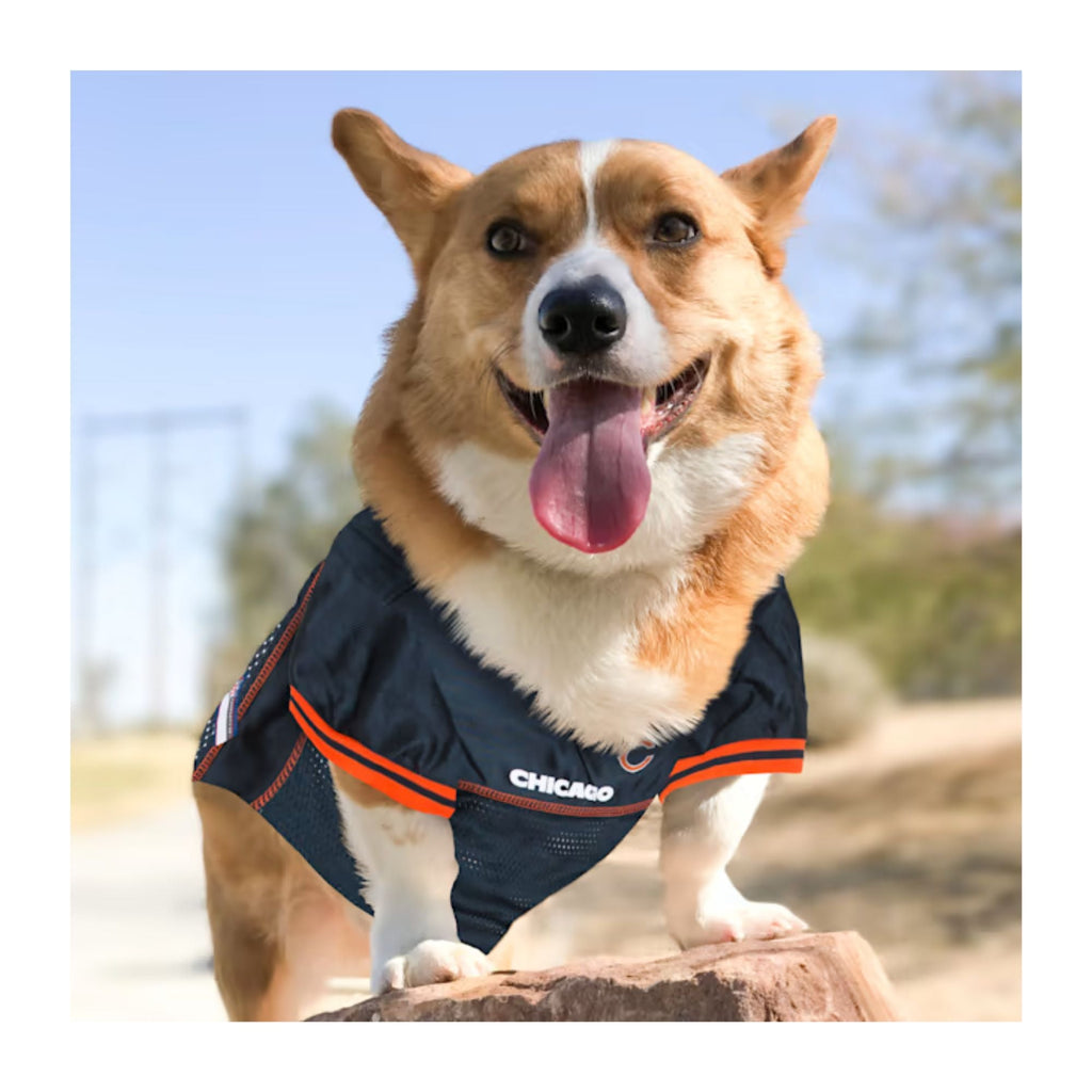 Chicago Bears Navy Pet Jersey product image 7, provided for visual reference and product detail review