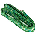 Chicago Hounds Dog Leash 3/4"W x 6'L product image 1, provided for visual reference and product detail review