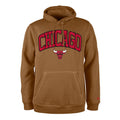 Chicago Bulls Color Pack Bronze Hoodie product image 1, provided for visual reference and product detail review