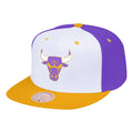 Chicago Bulls LA Lakers Brotherhood Snapback Hat product image 1, provided for visual reference and product detail review