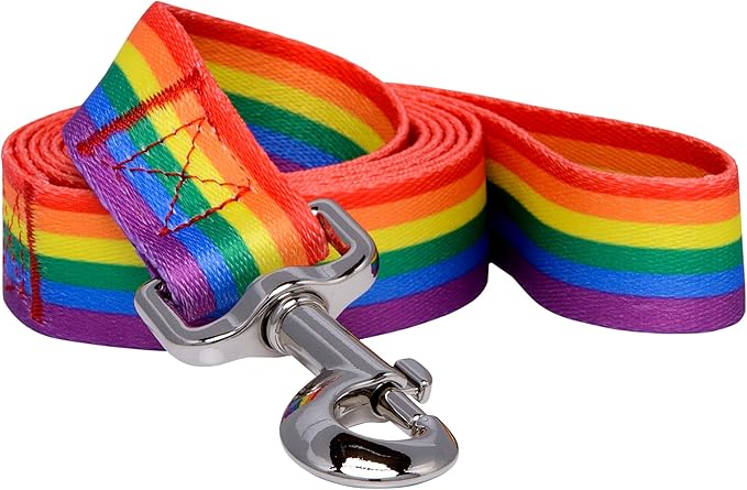 Pride 1" Dog Leash product image 1, provided for visual reference and product detail review