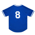 Andre Dawson Chicago Cubs Mitchell & Ness Authentic Royal Pullover BP Jersey product image 1, provided for visual reference