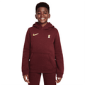 Nike Youth Liverpool F.C Fleece Pullover Soccer Hoodie product image 1, provided for visual reference and product detail
