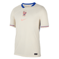 Nike Men France FFF Away Dri-FIT Soccer Replica Jersey 2025 product image 1, provided for visual reference and product