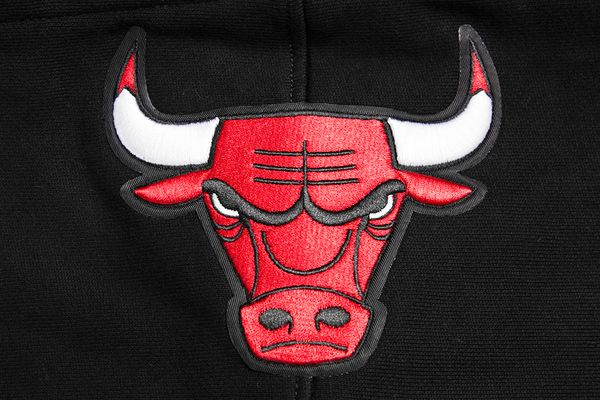 Chicago Bulls Pro Standard Chi-Town Black Hoodie product image 6, provided for visual reference and product detail review