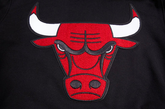 Chicago Bulls Black Retro Classic Pro Standard Hoodie product image 5, provided for visual reference and product detail