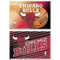 Chicago Bulls 2" x 3" 2-Pack Magnets product image 1, provided for visual reference and product detail review