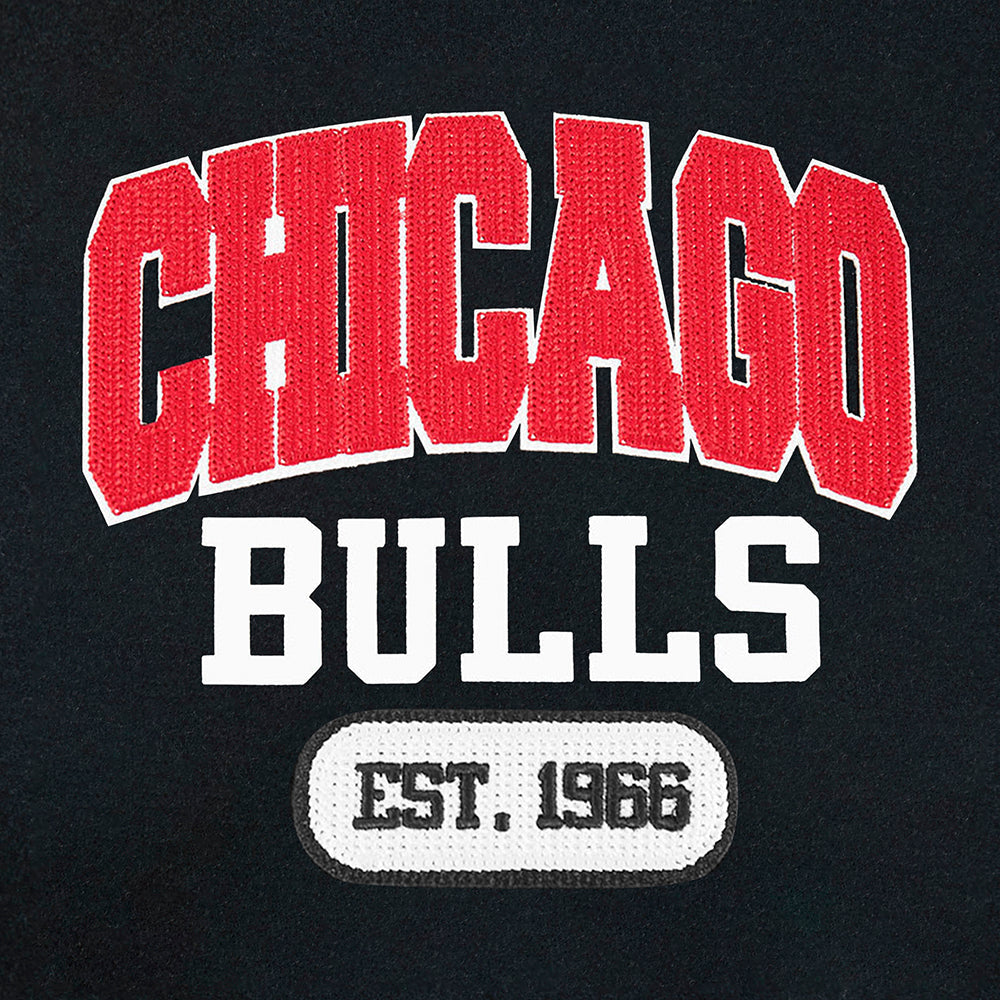 Chicago Bulls Pro Standard City Arch Wool Varsity Jacket product image 3, provided for visual reference and product detail
