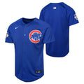 Chicago Cubs Nike Youth Royal Alternate Limited Jersey product image 1, provided for visual reference and product detail