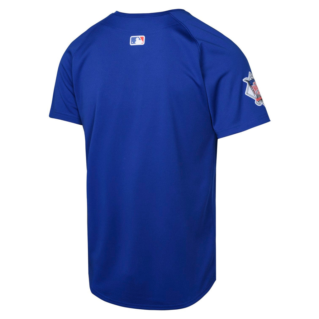 Chicago Cubs Nike Youth Royal Alternate Limited Jersey product image 3, provided for visual reference and product detail