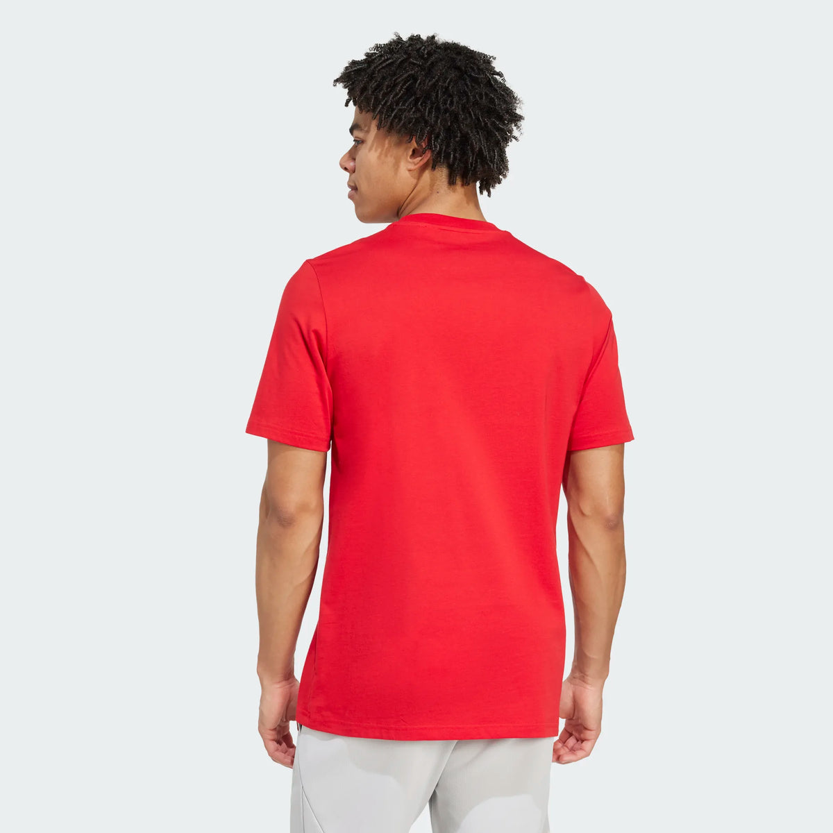 Adidas Arsenal FC Seasonal Graphic T-Shirt product image 2, provided for visual reference and product detail review