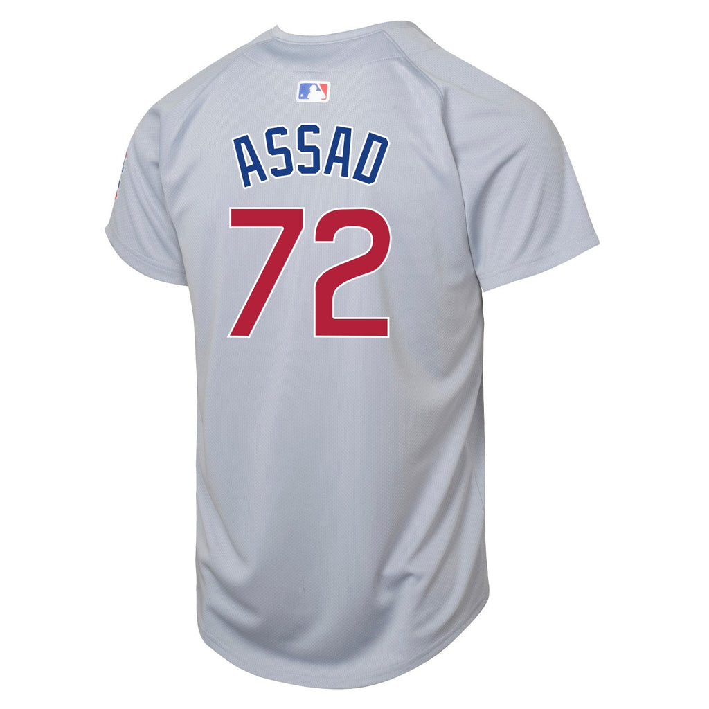 Javier Assad Chicago Cubs Nike Youth Road Grey Limited Jersey product image 2, provided for visual reference and product