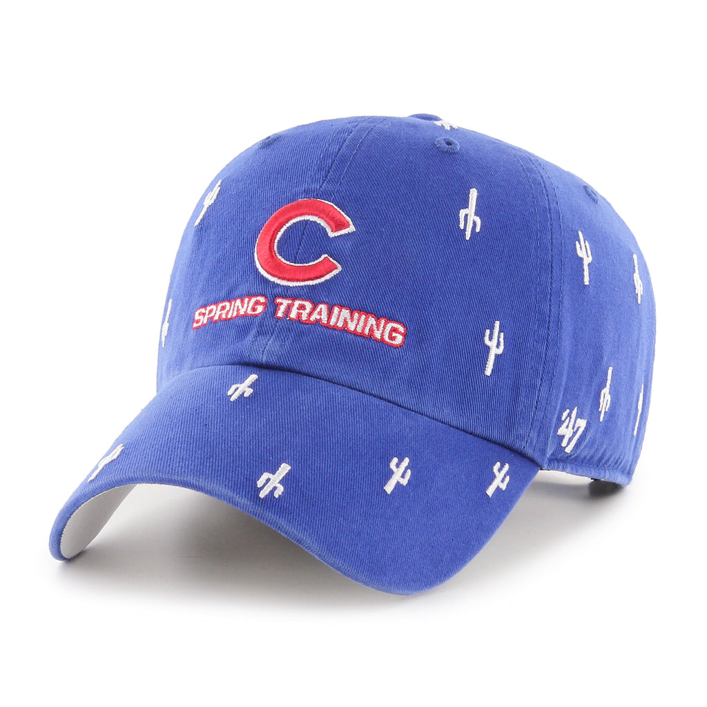 Chicago Cubs Spring Training Royal Tourist Cactus Clean Up Hat product image 1, provided for visual reference and product