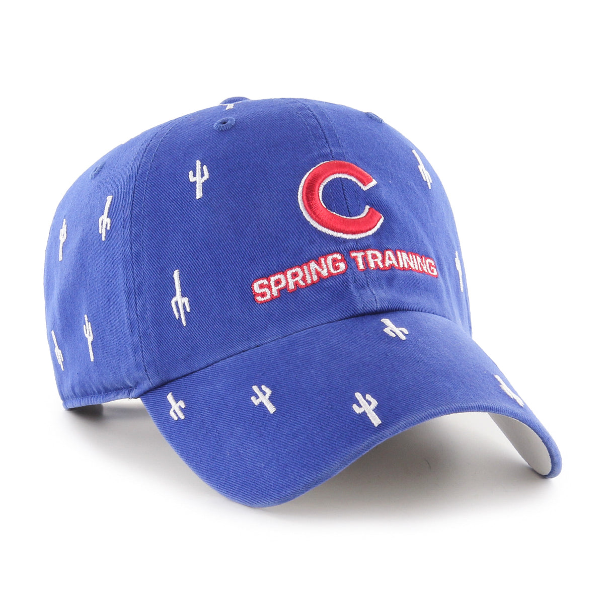Chicago Cubs Spring Training Royal Tourist Cactus Clean Up Hat product image 2, provided for visual reference and product